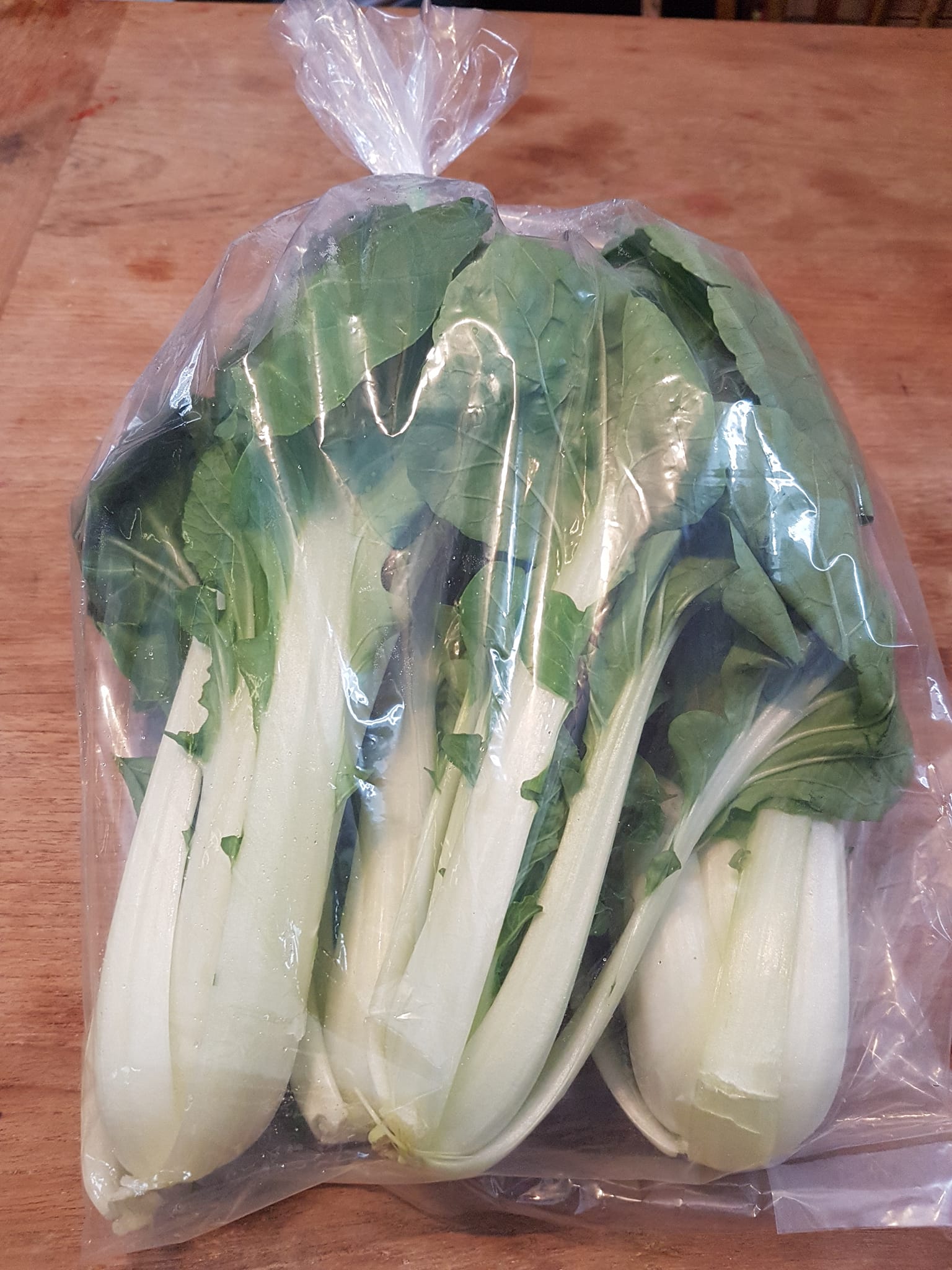 Fresh bok choi from the farm